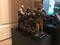 User submitted photo