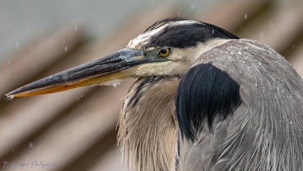 Customer photo 2 of 3. Click to open full size image.