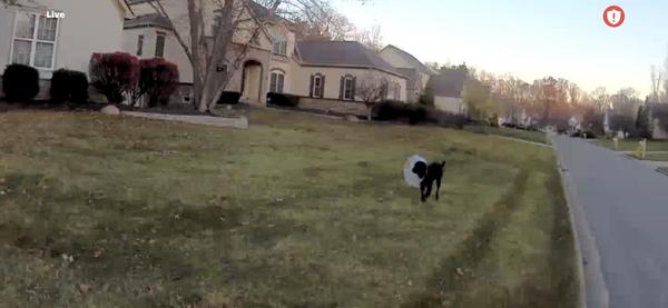 Customer photo 2 of 4. Click to open full size image.