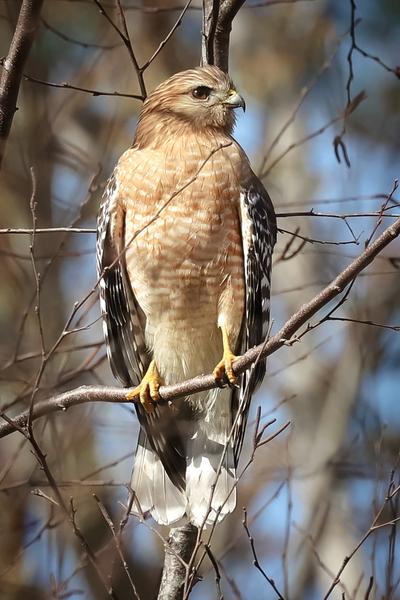 Customer photo 1 of 3. Click to open full size image.