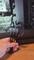 User submitted photo
