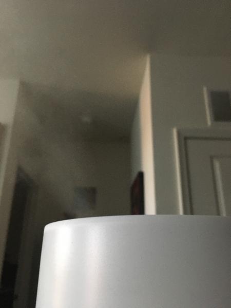 Customer photo 1 of 2. Click to open full size image.