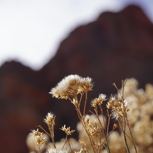 Customer photo 2 of 6. Click to open full size image.