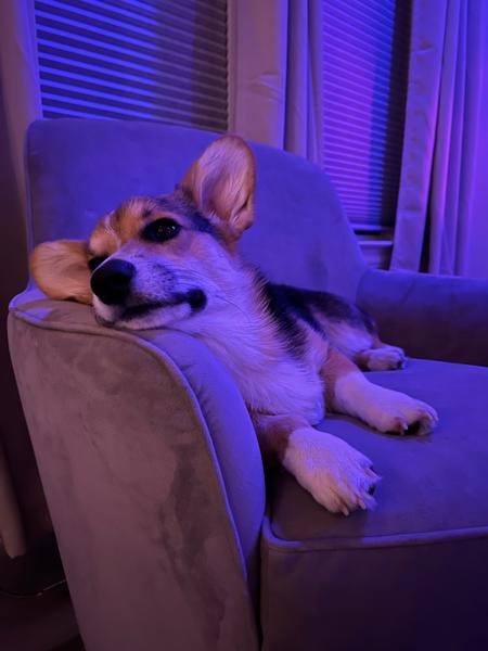 Customer photo 1 of 3. Click to open full size image.