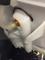 User submitted photo