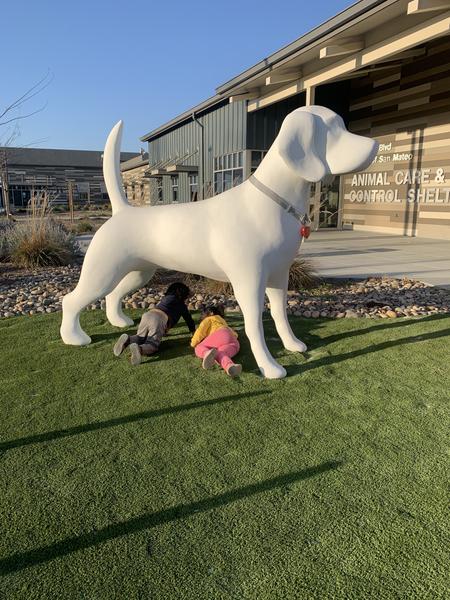 Customer photo 1 of 6. Click to open full size image.