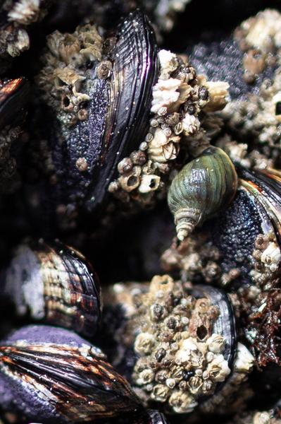 Customer photo 3 of 6. Click to open full size image.