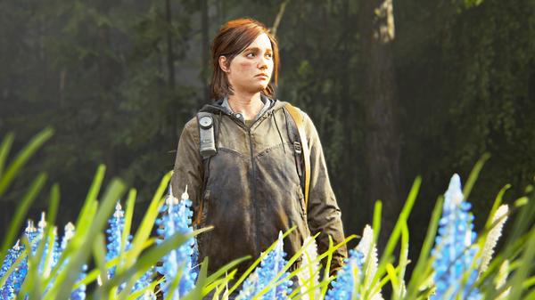 Customer photo 5 of 6. Click to open full size image.