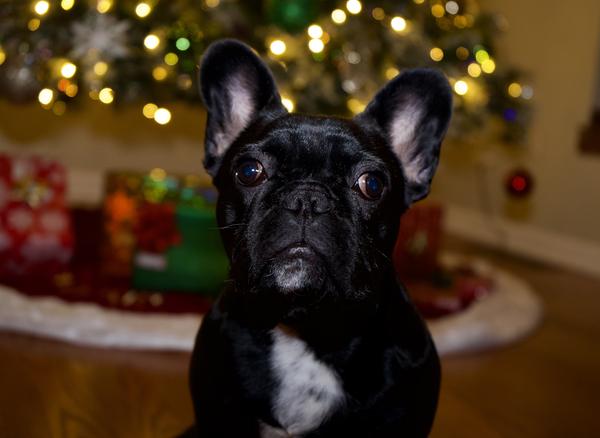 Customer photo 2 of 6. Click to open full size image.