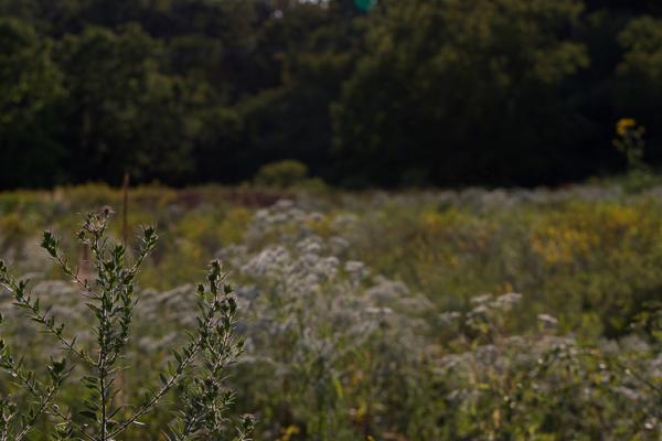 Customer photo 5 of 6. Click to open full size image.