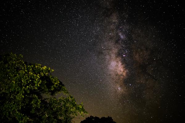 Customer photo 2 of 2. Click to open full size image.