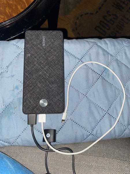 Apple Lightning cable - Lightning / USB 2.0 - 50 cm - ME291AM/A - Tablet  Cases - CDW.ca