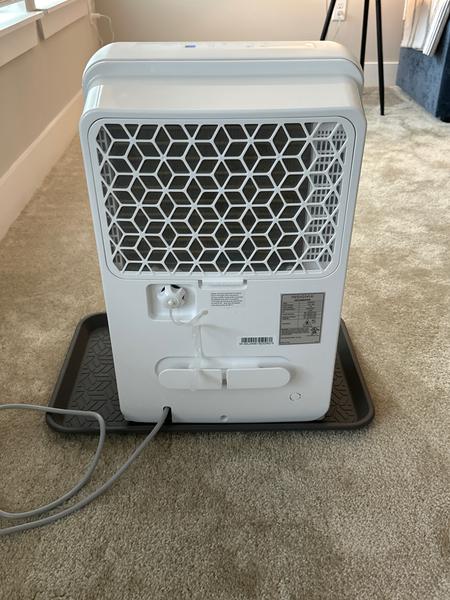 Customer photo 2 of 3. Click to open full size image.