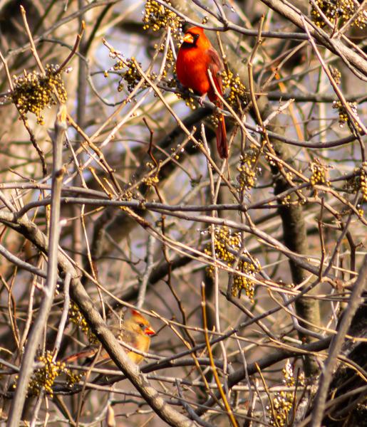 Customer photo 3 of 4. Click to open full size image.