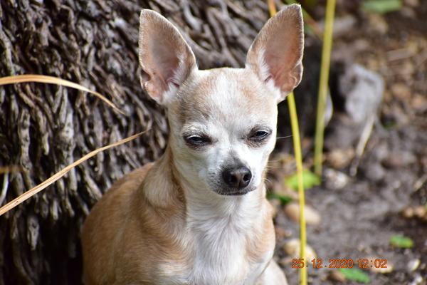 Customer photo 6 of 6. Click to open full size image.