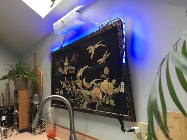 Customer photo 1 of 1. Click to open full size image.