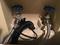 User submitted photo