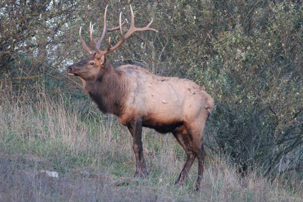 Customer photo 2 of 3. Click to open full size image.