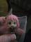 User submitted photo