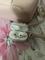 User submitted photo