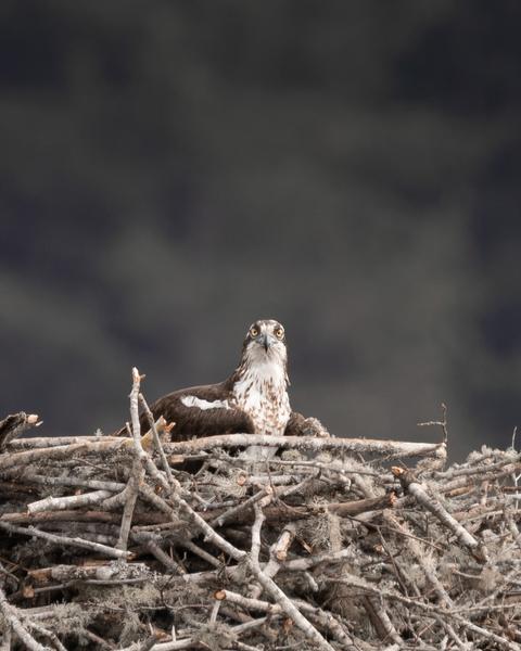 Customer photo 5 of 6. Click to open full size image.