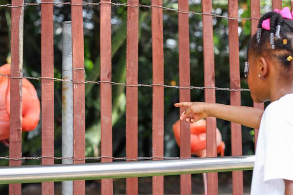 Customer photo 2 of 4. Click to open full size image.