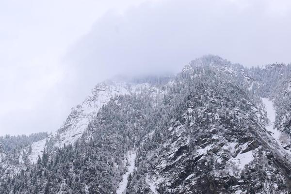 Customer photo 5 of 6. Click to open full size image.