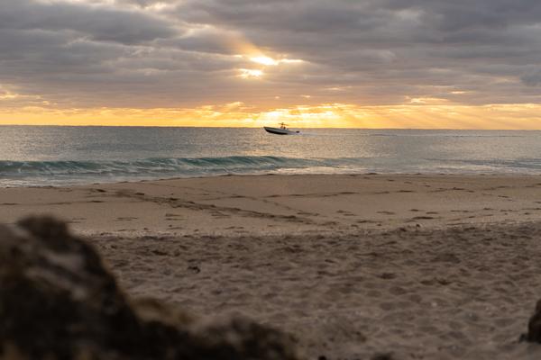 Customer photo 1 of 5. Click to open full size image.