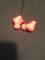 User submitted photo