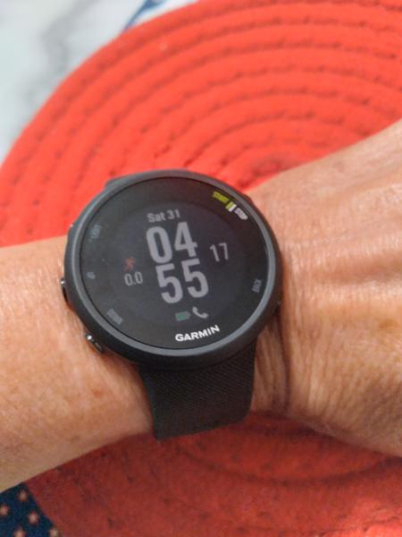 Garmin forerunner discount 45s best buy