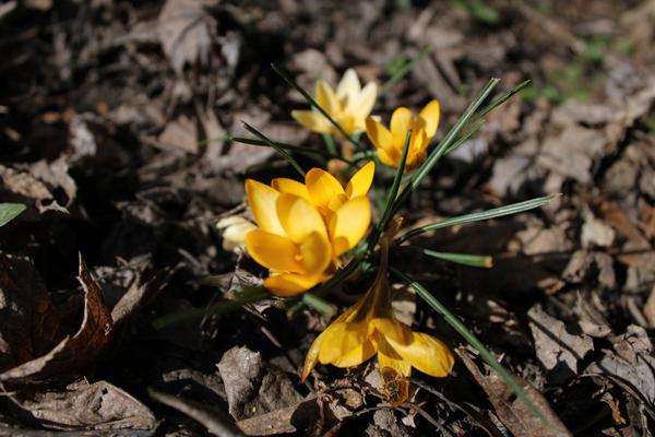 Customer photo 4 of 6. Click to open full size image.