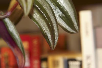 Customer photo 2 of 2. Click to open full size image.