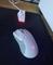 User submitted photo