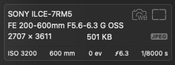 Customer photo 2 of 6. Click to open full size image.