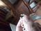 User submitted photo
