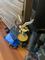 User submitted photo