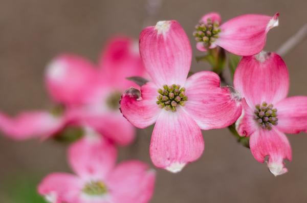 Customer photo 2 of 2. Click to open full size image.