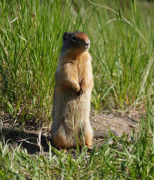 Customer photo 1 of 6. Click to open full size image.