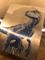 User submitted photo