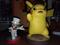 User submitted photo