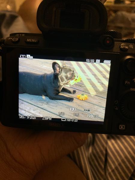 Customer photo 5 of 6. Click to open full size image.