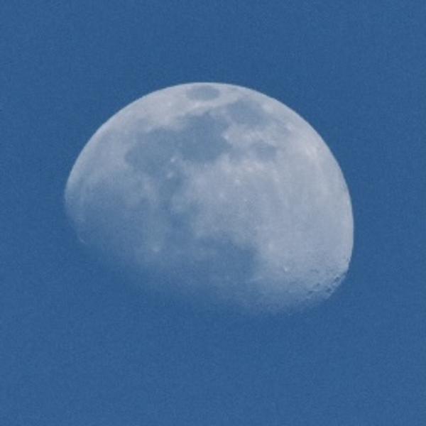 Customer photo 6 of 6. Click to open full size image.