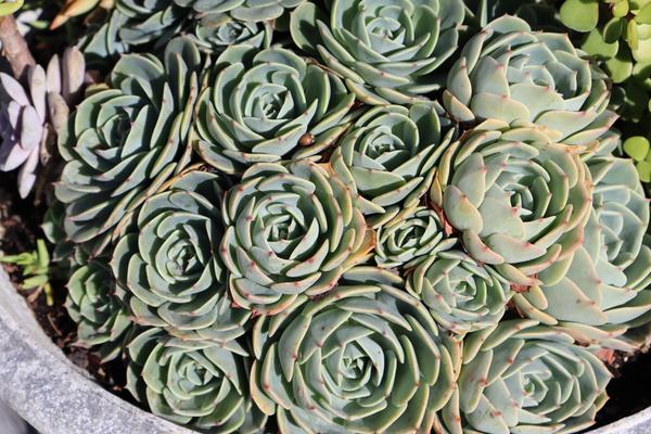 Customer photo 2 of 3. Click to open full size image.