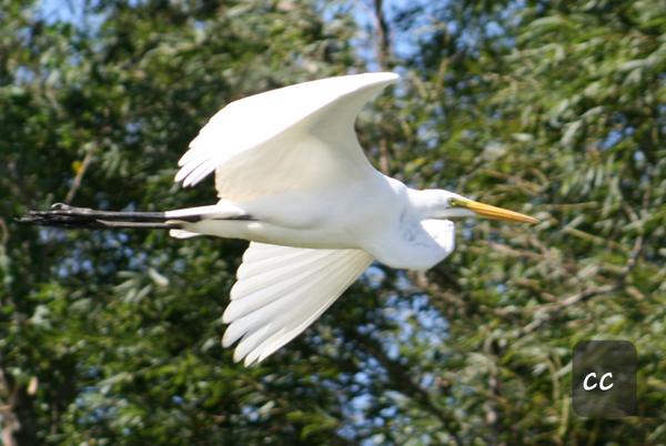 Customer photo 2 of 6. Click to open full size image.