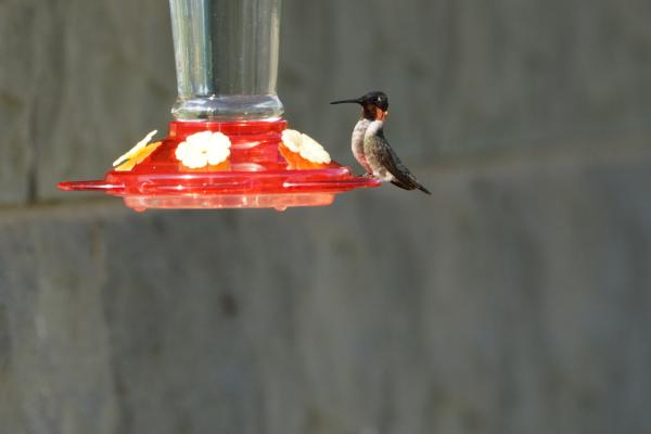 Customer photo 3 of 3. Click to open full size image.