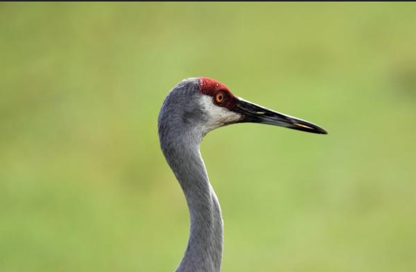 Customer photo 3 of 6. Click to open full size image.