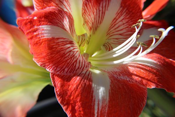 Customer photo 1 of 5. Click to open full size image.