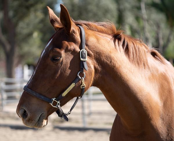 Customer photo 2 of 6. Click to open full size image.