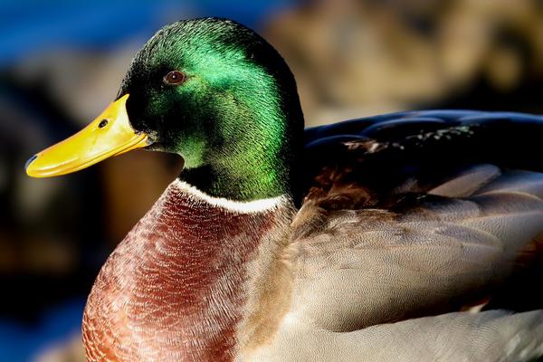 Customer photo 2 of 6. Click to open full size image.