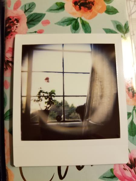 Customer photo 1 of 1. Click to open full size image.